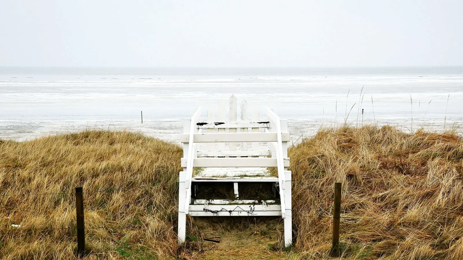 Compromisso ambiental